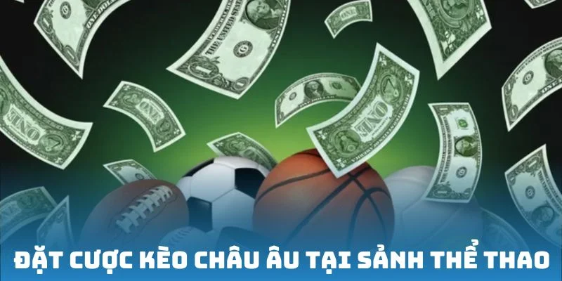 Sơ lược về sân chơi cá cược thể thao tại nền tảng