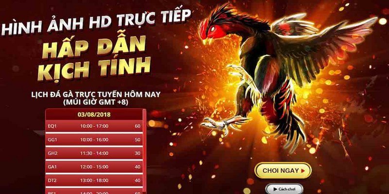 Ưu thế nổi bật chỉ có tại đá gà 8xBet